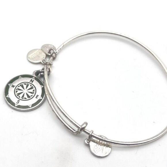 Alex and Ani Women's Color Infusion Avocado Compass Expandable Bangle Bracelet - Picture 3 of 6
